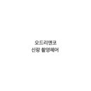 오드리헤어 네이버블로그
