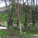 새보람유치원 이미지