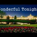 Wonderful tonight 이미지