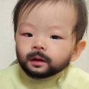 르노코리아 서비스코너 죽전점 | 용인 돌사진 촬영 로이레스튜디오 햇빛이 맘에드는 감성샷 울보 복춘이도 찰칵