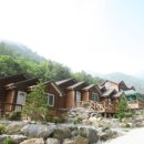 정선 도원펜션&캠핑장 이미지