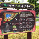 경서근린공원 이미지