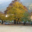 녹전중학교 이미지