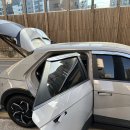 카카오펫 | 경기도 카카오 펫택시 이용후기 고양이 이사