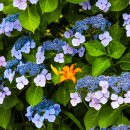 부산 영도 태종대 이미지