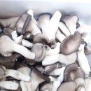 함박농장 이미지