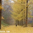 하반기 타박타박 인천 이미지