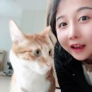 바른기정떡청주 이미지