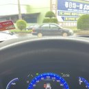 붕붕종합카 | 겨울 대만 렌트카 여행(2025년 기준)