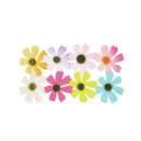 코스모스환경 이미지