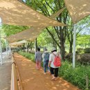 수목요양병원 이미지