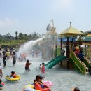 회산백련지 이미지