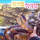 성실수산