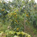 부유농장 이미지