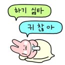 하마직구