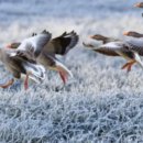 산천초목 이미지