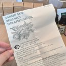 원조약돌가든 | 가든데이즈 아로마오일 조약돌 오일버너 아로마테라피세트 사야하는 이유!