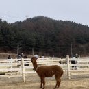 로사목장 이미지