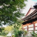 우면산 (남태령 정각사) 이미지