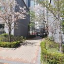 16단지 휴먼시아 이미지