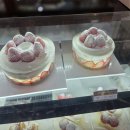 황오동행정복지센터-2 | 경주 딸기 케이크 맛집, 현지인 추천으로 빠지지 않는 이재원 과자공방