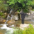 오르비스펜션 이미지