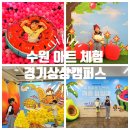 수원-0540 이미지