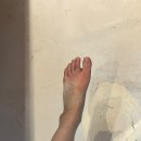 발안중학교 | 방학 중간 점검