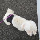 쓰다드멍 이미지