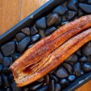 맛장어먹는날 이미지