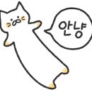 자갈치회수산 이미지