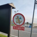 낙동강자전거길2 이미지