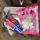 사과밭펜션 | 강원도 횡성 숲캉스 프라이빗한 독채 펜션 밀포레300