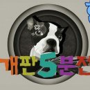 개판오분전 이미지