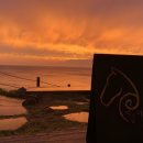 지금애월 이미지