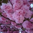 들성로-8 이미지