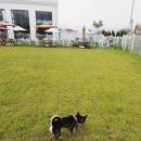 몽드드뚜뚜 이미지