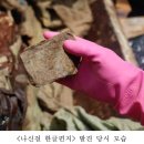 창녕 관룡사 불화 이미지