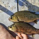 부여(외산)-11 이미지