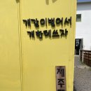 제주펫스쿨 이미지