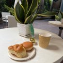 아이호텔 | 홍콩여행 가성비 숙소 아이클럽 셩완 호텔 후기