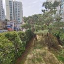 푸르른 태권도장 이미지