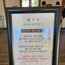 성암미술관 | 대전 근교 글램핑 보은 일상화글램핑 106호 내돈내산 후기