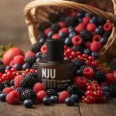 추천 브랜드 엔주(NJU) 2종 구매 후기 : 다크베리 뮤즈 & 포레스트 베일, 나만 알고 싶은 살결향 남자...