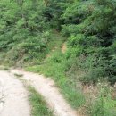 안동오리 이미지