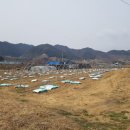 아호동농장 이미지