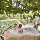 마이본1호 | 나트랑 여행 투어, 스냅, 마사지 예약 상품 추천 (마이리얼트립)