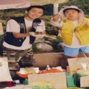 사철과일