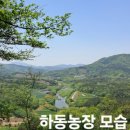 보성농장 이미지