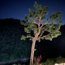 크로바펜션 이미지